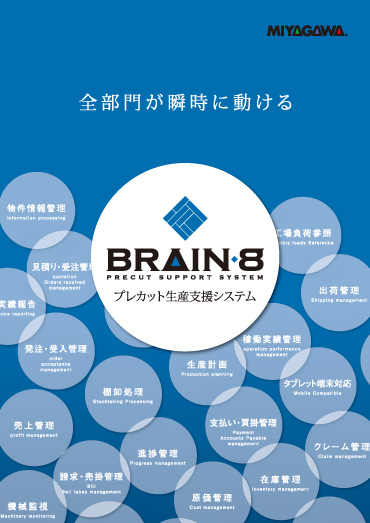 BRAIN8